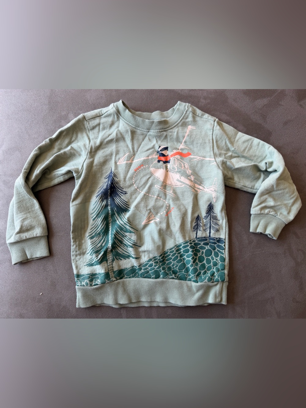 Carter's Mint Green Helicopter & Forest Graphic Sweatshirt